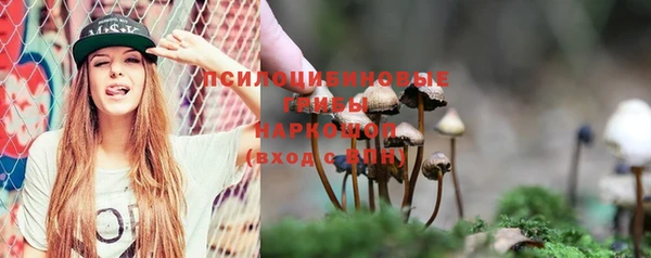гидропоника Киренск