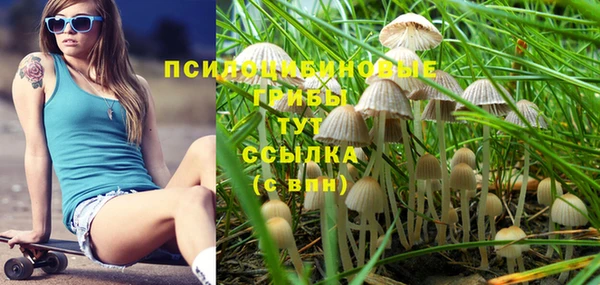 соль курить ск Козельск