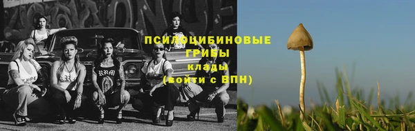 гидропоника Киренск