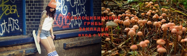 соль курить ск Козельск