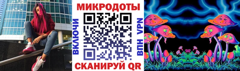 Псилоцибиновые грибы Psilocybine cubensis  Мосальск 